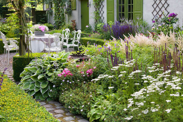 Summer border, Salvia'Caradonna', Achillea millefolium, Astilbe 'Deutschland', Hosta 'Crispula',  Dina  Deferme garden