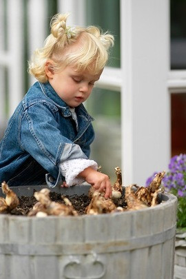 Bulbs planting, Fall planting, planting with kids 