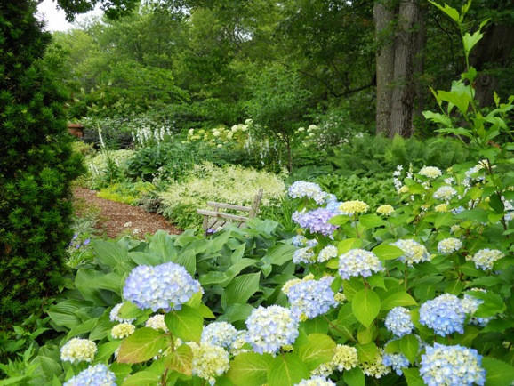 Landscape Design, Garden Ideas