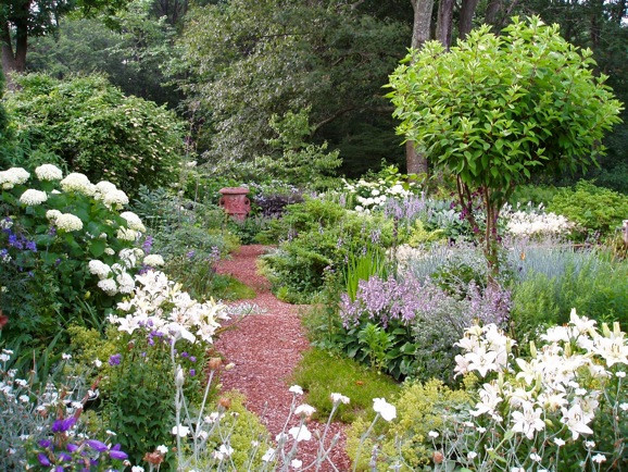 Landscape Design, Garden ideas