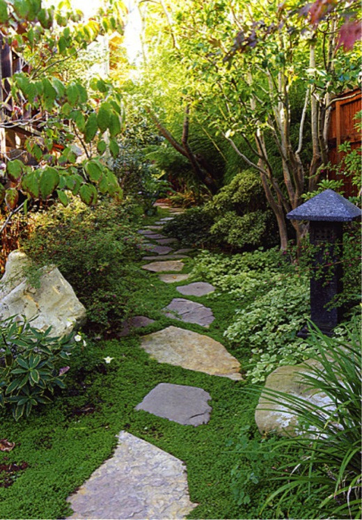 Small Garden, Small backyard, Small space, Asian garden, Koi Pond, Waterfall. Goodman Landscape