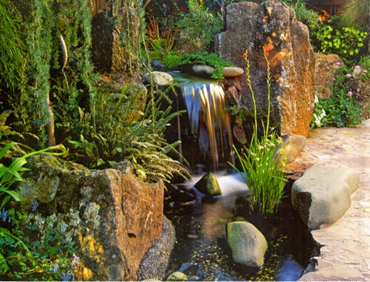 Small Garden, Small backyard, Small space, Asian garden, Koi Pond, Waterfall. Goodman Landscape