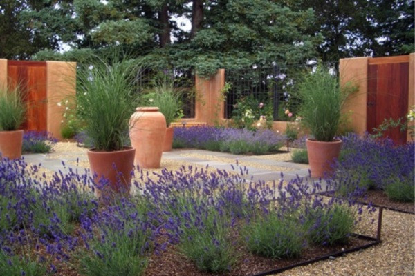 Lavender, Ornamental grasses,provencal garden, terracota urns,contemporary courtyard