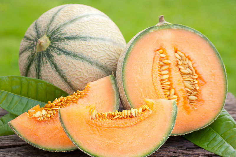 Cantaloupe, Honeydew Melon, Melon, Muskmelon, Musk Melon, Rockmelon, Sweet Melon, True Cantaloupe, Cucumis melo