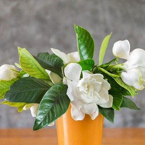 <p><span style="font-size:11px"><em>ilovehz / 123RF Stock Photo</em></span></p>