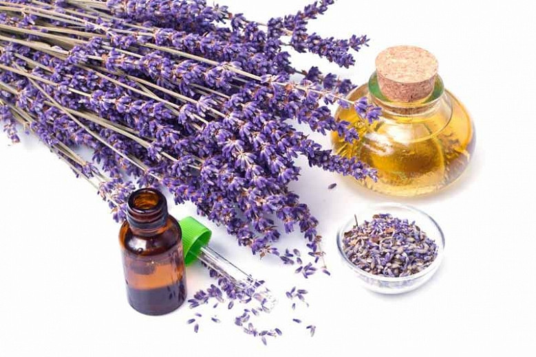 How to preserve the Fragrance of your Lavender