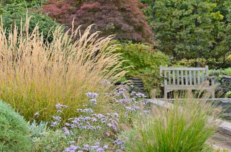 Best Ornamental Grasses and Foliage Plants for Gardeners in New England