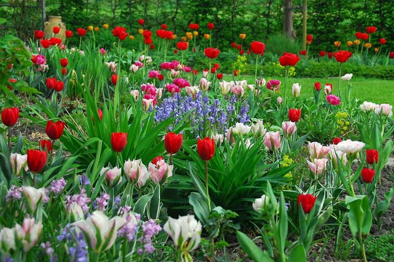 A Traditional Spring Garden