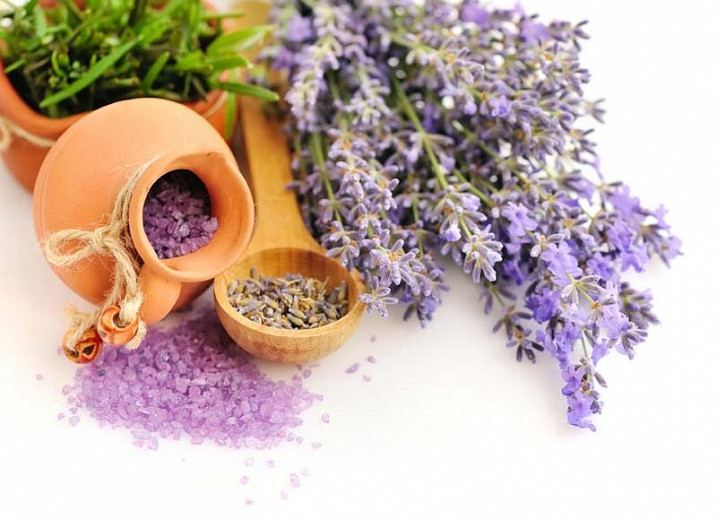 Strongest Scented Lavandin Lavenders