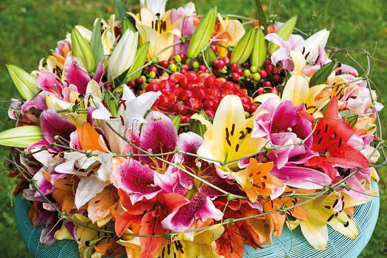 Most Fragrant Oriental Lilies