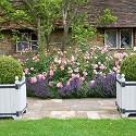 <p><em style="font-size:12px; line-height:17px">&nbsp;GAP Photos/Suzie Gibbons - Design: Geoffrey Cridland</em></p>