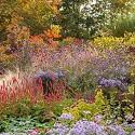 <p><span style="font-size:11px"><em>&copy;Clive Nichols</em></span></p>