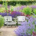 <p><span style="font-size:11px"><em>&copy; Martin Ogden and www.teddingtongardener.com</em></span></p>