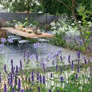 public/images/14hamp148.jpg