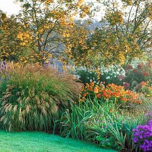 Garden ideas, Border ideas, Plant Combinations, Flowerbeds Ideas, Summer Borders, Fall borders, Asters, Miscanthus, Japanese Silver Grass, Monkshood, Aconitum, Helenium, Kniphofia, Red Torch Lily