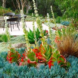 How To Create A Mediterranean Garden