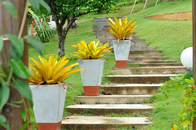 Stairs, Garden Stairs Ideas, Garden Stairs Designs, Garden Stairs Landscaping
