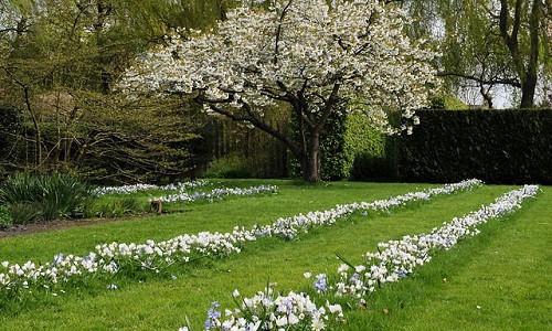 Full Sun Gardens Inspiring Garden Ideas For All Gardeners