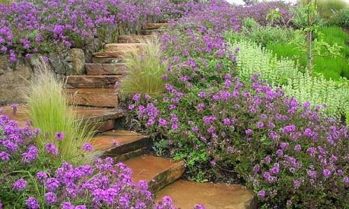 Banks Slopes Inspiring Garden Ideas For All Gardeners