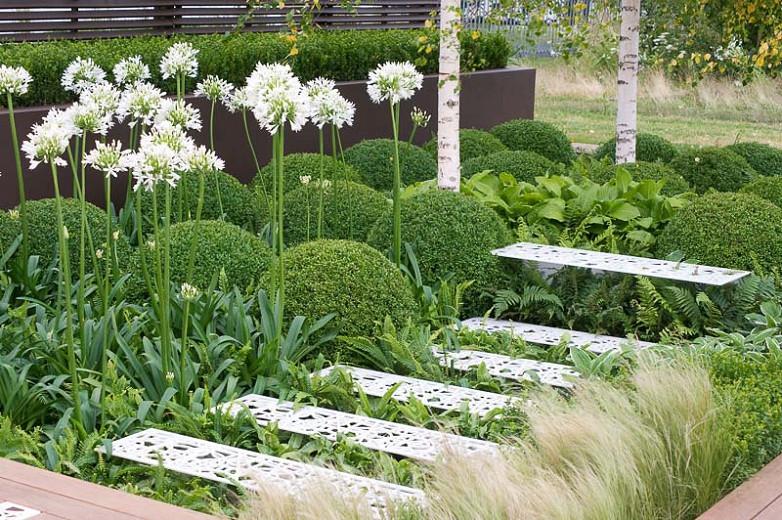 An Attractive Shady Garden With Ferns Hostas And Agapanthus - Hosta Shade Garden Design