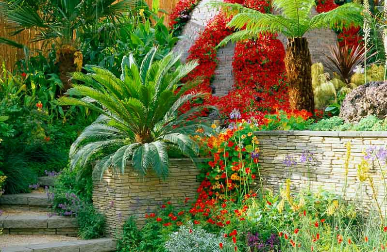 A Sparkling Tropical Garden with Architectural plants