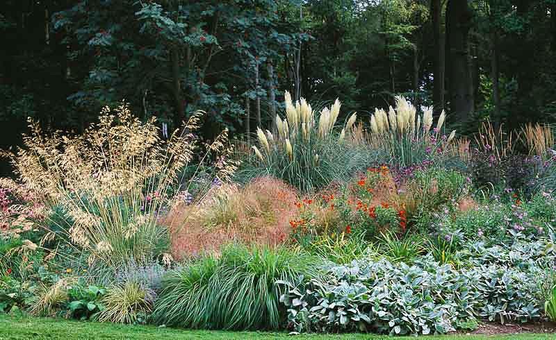 A Pretty Late Season Border Idea with Perennials and ... A Pretty Late Season Border Idea with Perennials and ...