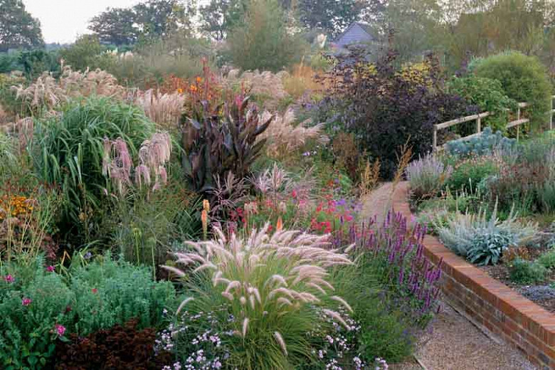A Pretty Late Season Garden Idea with Perennials and Architectural Grasses