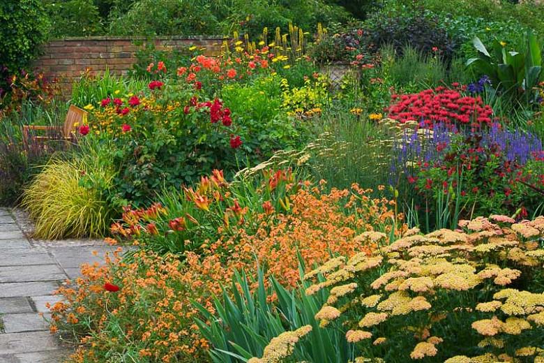 A Hot Border Idea With Achillea Hemerocallis And Grasses