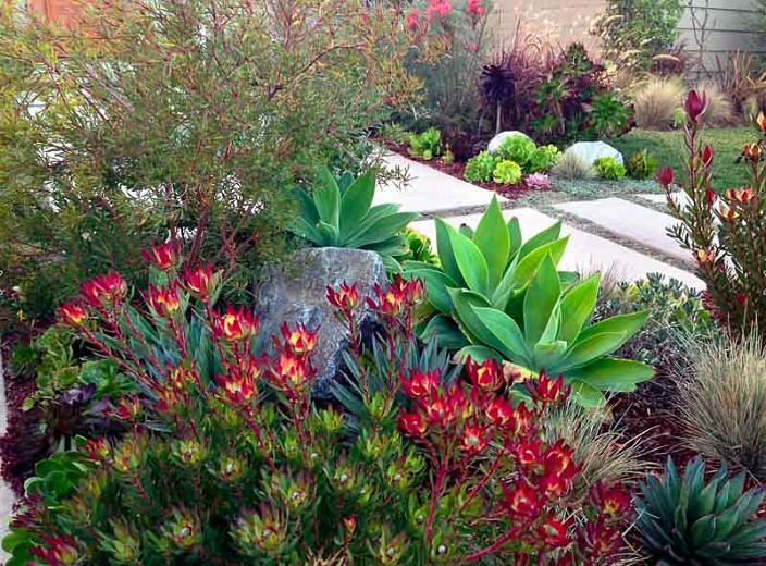A Long Lasting And Colorful Front Garden, Plants For Front Landscaping