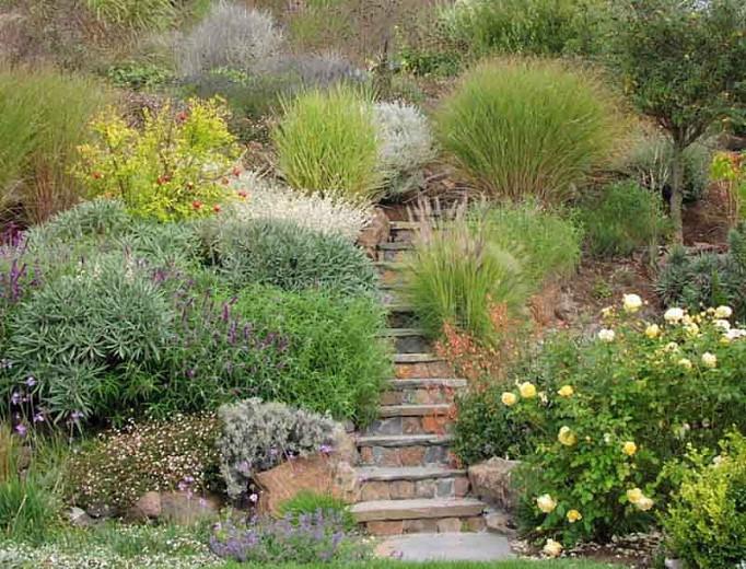 A Steep Hillside Is Turned Into Lush, Garden Design Steep Hillside