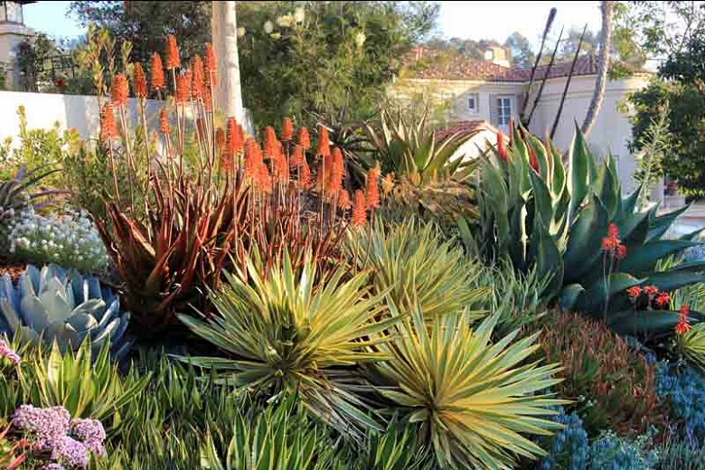 A Superb Mediterranean Front Yard With, Front Yard Landscaping Ideas With Rocks And Succulents