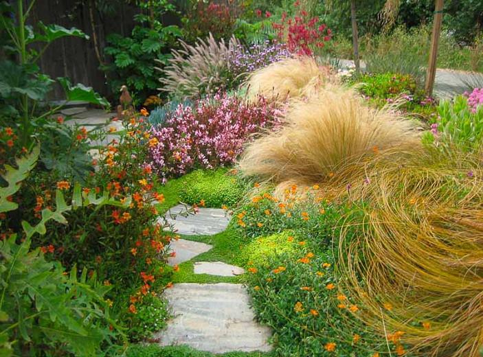A Colorful And Low Maintenance Mediterranean Path