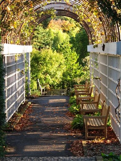 Add Drama And Character To Your Walkways Jsl Exteriors Landscape Design Build