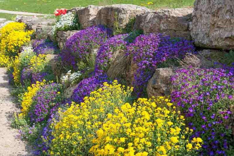 An Eye Catching Rock Garden Idea With Easy Care Perennial Plants - Perennial Garden Plans Zone 7b