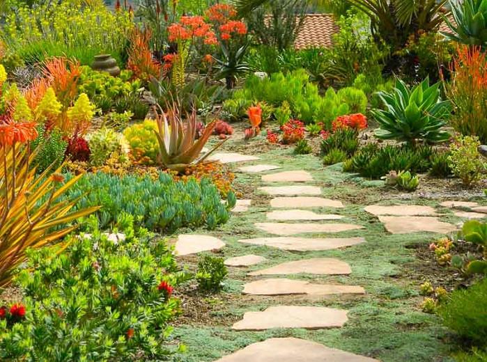 A Terrific Mediterranean Garden with Color and Texture