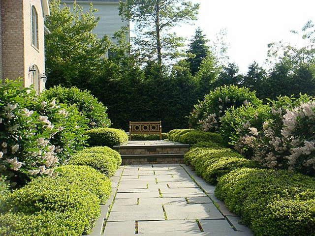 elegant landscaping