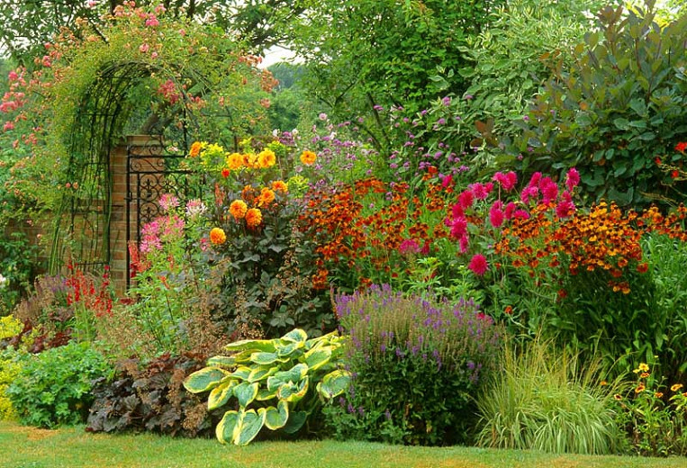 A Hot Summer Border Idea with Dahlias, Helenium and Easy Perennials