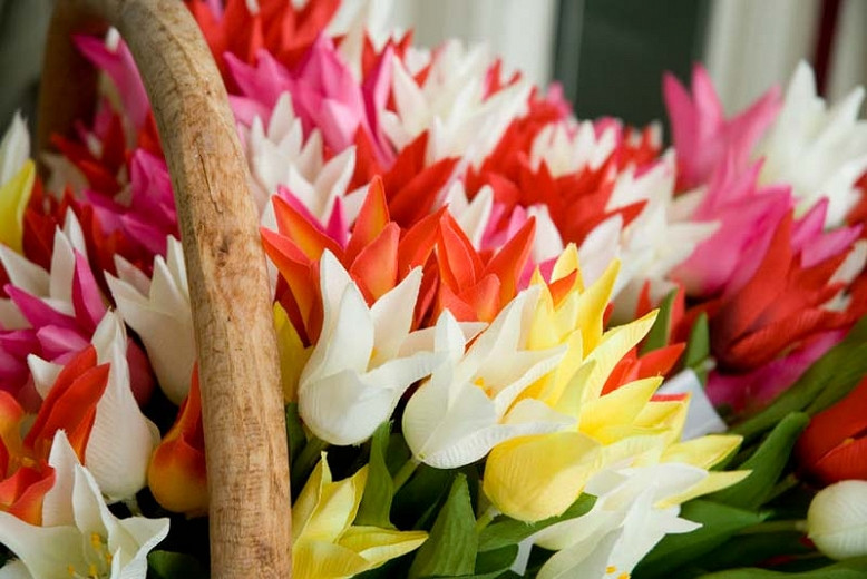Lily-Flowered Tulips, Spring Bulbs, Spring Flowers, Tulip Ballade,Tulip Ballerina,Tulip China Pink,Tulip Mariette,Tulip May Time,Tulip West Point,Tulip Yonina,Tulip Marilyn, Late spring tulip