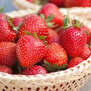 Mois fraises griefs Fragaria Vesca 410712 quedlinburger ar3288 