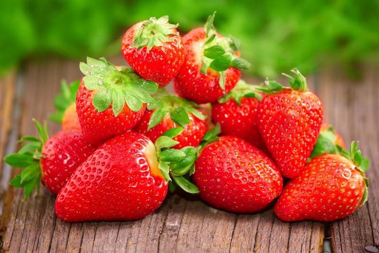 Fragaria Chandler', Junebearing Strawberry 'Chandlerr', Strawberry 'Chandler', evergreen shrub, Strawberries, Red Fruit, White flowers