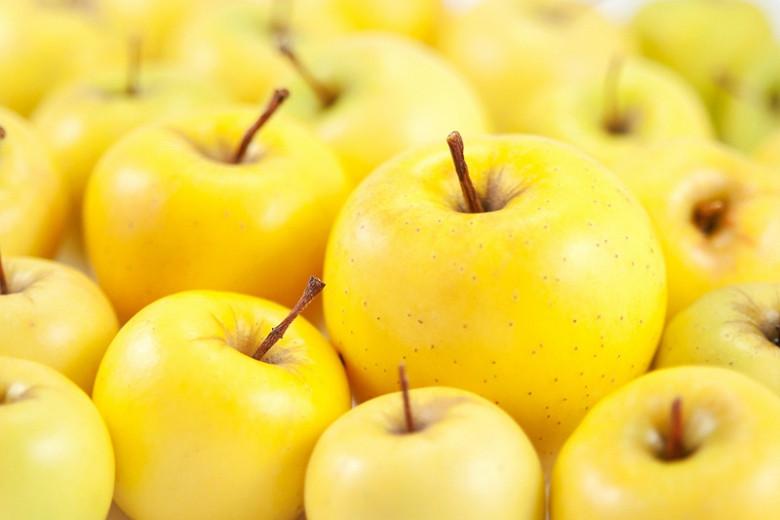Malus domestica 'Golden Delicious', Apple 'Golden Delicious', Golden Delicious Apple, Malus 'Golden Delicious', Yellow Apple, White flowers,