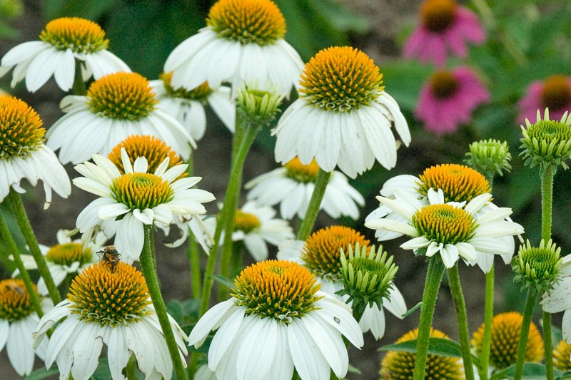 Votre impression personnalisée main image 1