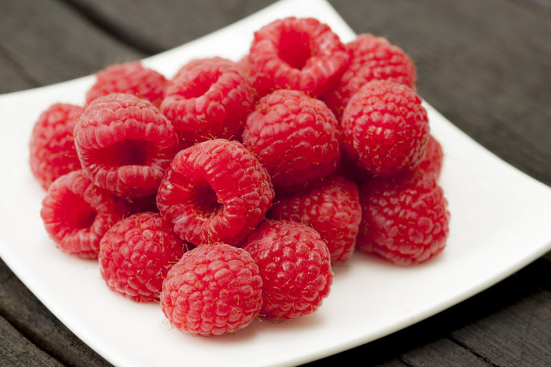 Rubus 'Killarney' (Summer Bearing Raspberry)