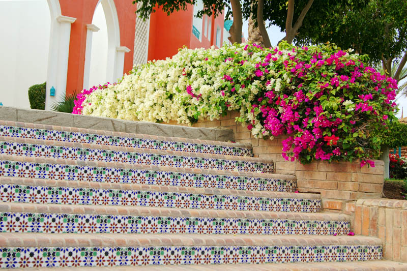 Mediterranean tiles