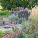 Garden Ideas, Border ideas, Perennial Planting, Perennial combination, Summer Borders, Fall Borders, Monarda, Bee Balm, Echinacea pallida, Pale purple Coneflower, Echinacea Pink Double Delight, Sanguisorba Obtusa, Pennisetum Orientale, Calamagrostis x acu