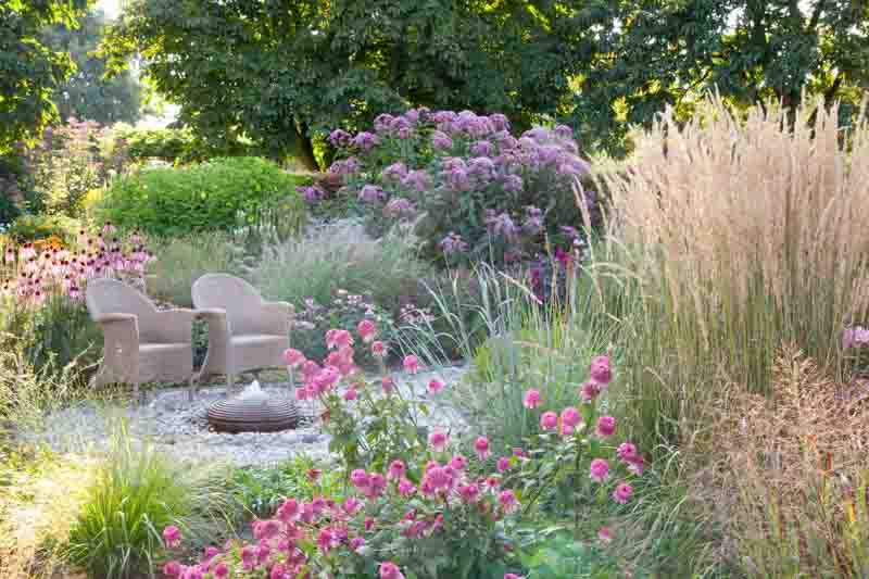 Garden Ideas, Border ideas, Perennial Planting, Perennial combination, Summer Borders, Fall Borders, Monarda, Bee Balm, Echinacea pallida, Pale purple Coneflower, Echinacea Pink Double Delight, Sanguisorba Obtusa, Pennisetum Orientale, Calamagrostis x acu