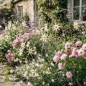 Romantic Cottage garden with Dahlia 'Honka White', Cosmos bipinnatus Double Click Rose, Gaura lindheimeri and Verbena bonariensis