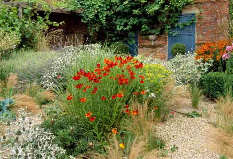 Garden ideas, Border ideas, Plant Combinations, Flowerbeds Ideas, Summer Borders, Gravel Garden, Mediterranean Garden, Sea Holly, Eryngium Giganteum,Helenium, Sneezeweed, Lavender, Lavandula, Stipa Tenuissima,