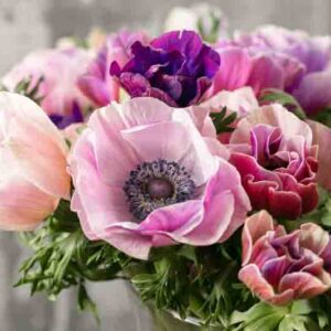 bouquet of mixed anemones flowers in vase . the work of the florist at a flower shop.