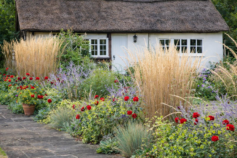 Border with Calamagrostis acutiflora Karl Forster, Helicotrichon sempervirens, Nicotiana langsdorfii and Dahlia Grenadier